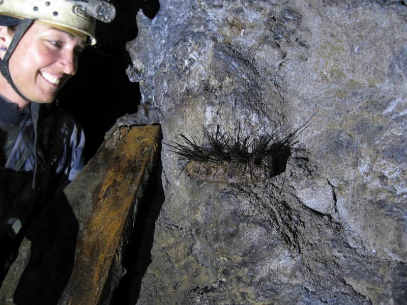 45_hbstopes_brushkate.jpg - The remains of an old brush, something really worth grinning at.