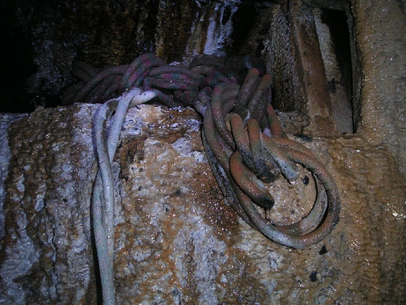 cch_calcifiedrope.jpg - Where the deep water photos were taken, I spotted this coil of old rope (Roy's in fact) that had partially become calcified.