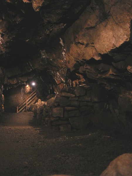 cl_caverflat2.jpg - View of the ladder steps leading to the exit and end of the trip.