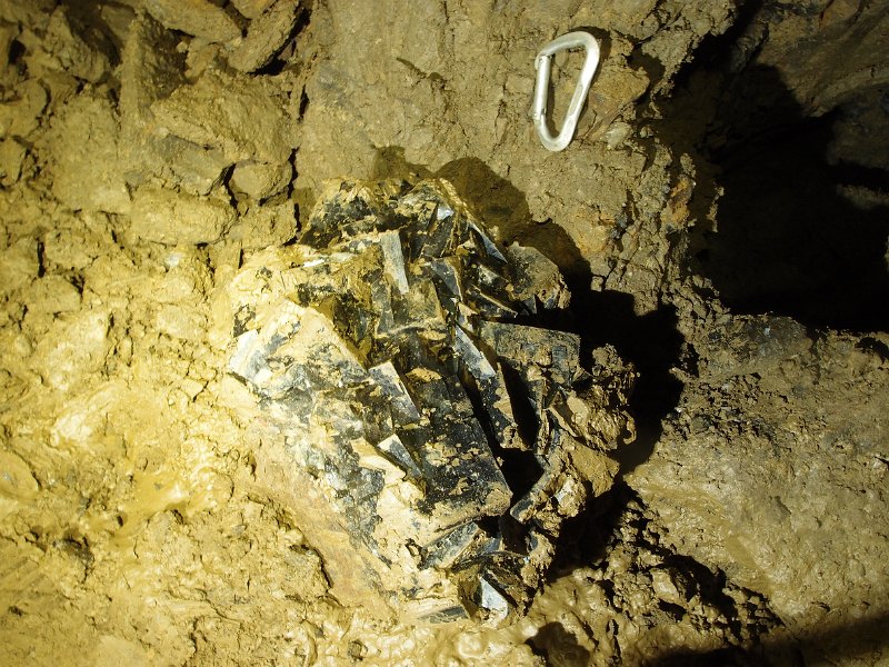 P8063945.JPG - Closeup.