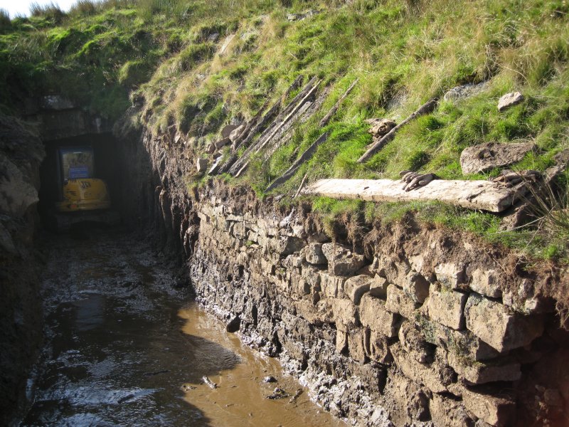 IMG_1451.jpg - View of Student Pete's stone walling.