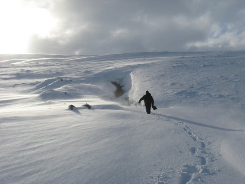 entrance.jpg - A very different looking mine adit.