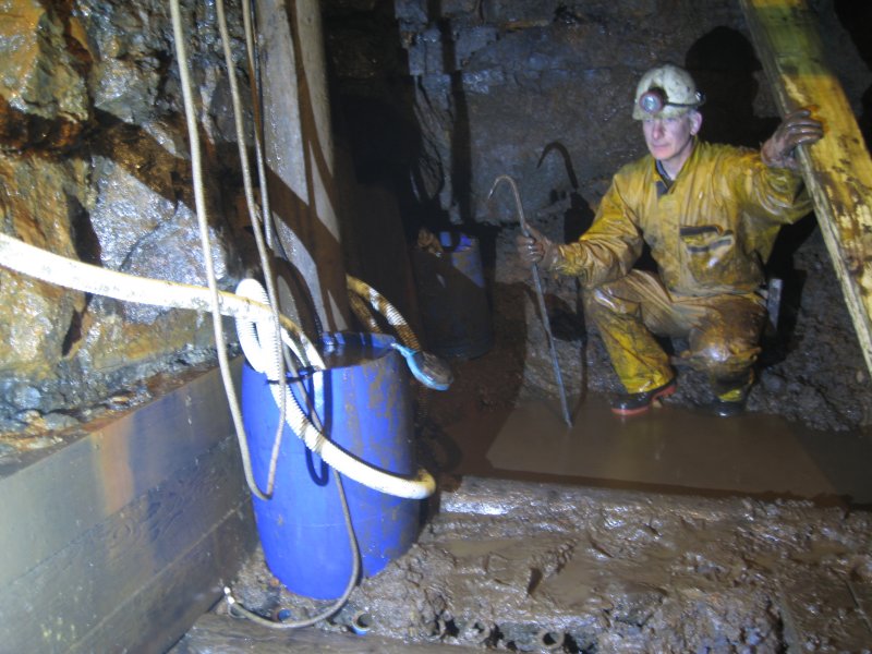 Img_3489.jpg - Dog Pete in the chamber above the dig.