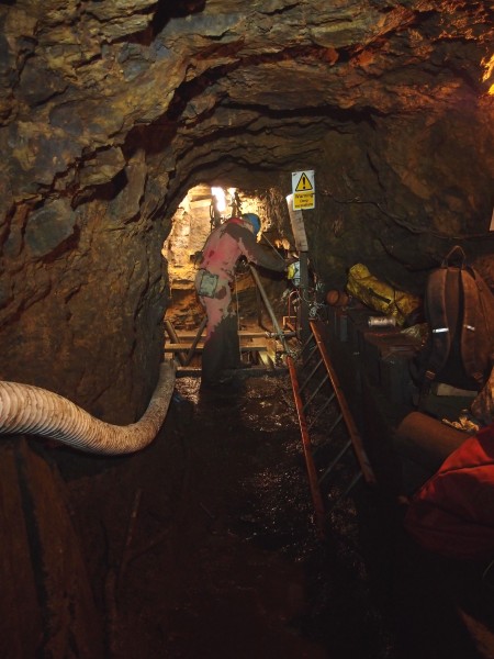 P7236113.jpg - Waiting for a kibble.