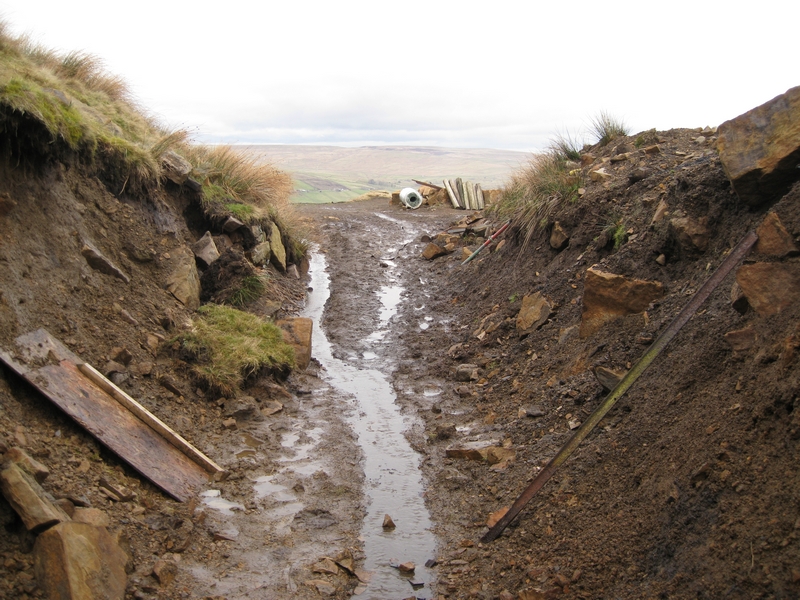 IMG_5927.JPG - Winter damage - a lot less than last years.