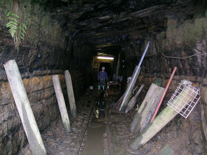 DSCN6125_1600x1200.jpg - Barrowing out to the surface. Photo by Andy.