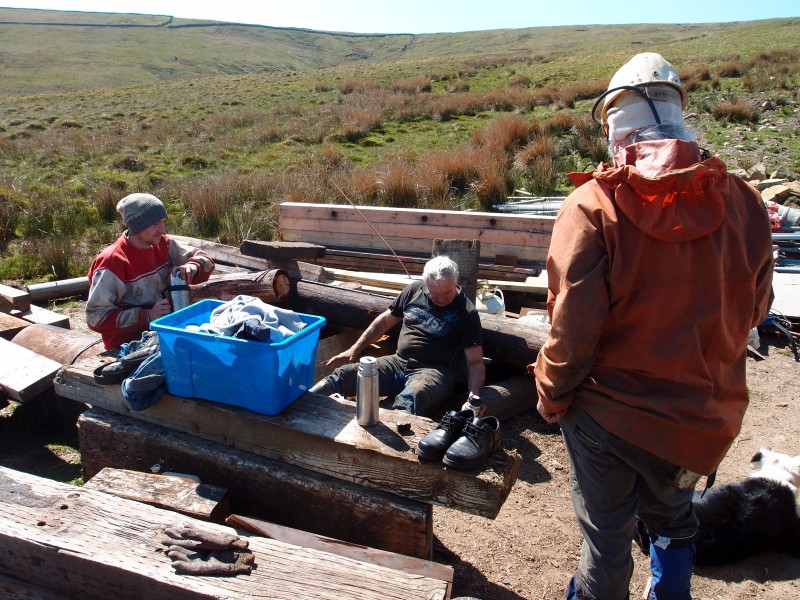 P5279144.JPG - Bait area.