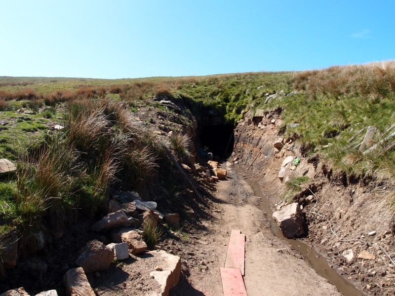 P5279147.JPG - Open cut to the horse level.