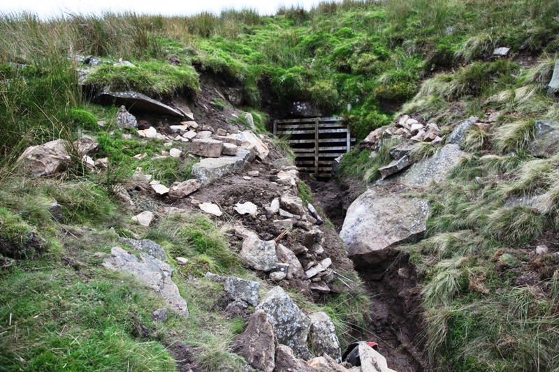 02_start.jpg - The beginnings of digging.