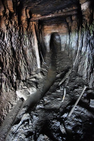 34_firstclearviewin.jpg - First cleared view in.