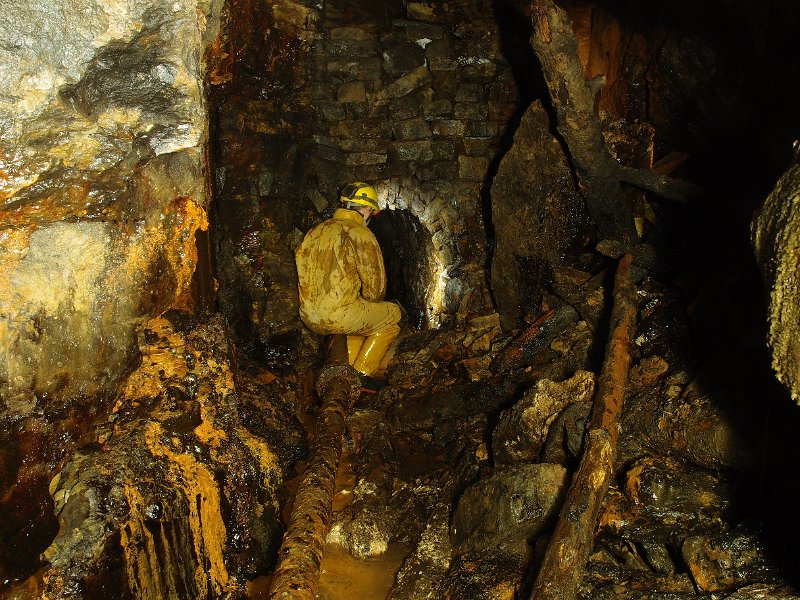 P5083615.JPG - Fall before arching.