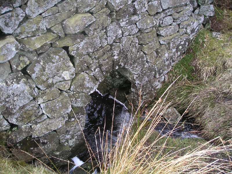 gudham_gill_archinwall.jpg - A small archway in a wall over the gill, perfect arching - built by miners?