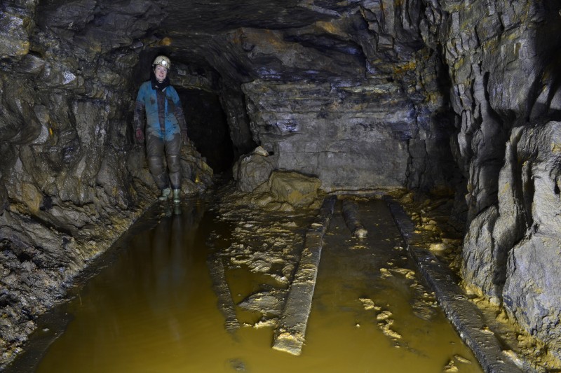 DSC_0584.JPG - Siding on the West Level. Photo by Karli.