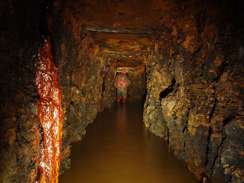 P6123881.JPG - Ground near the drive in.