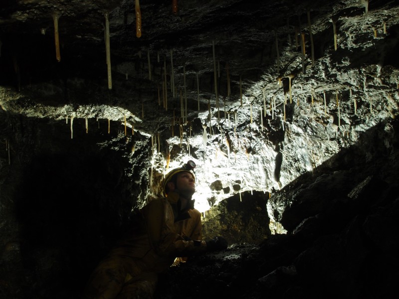 P8311041.JPG - Straw stalactites.