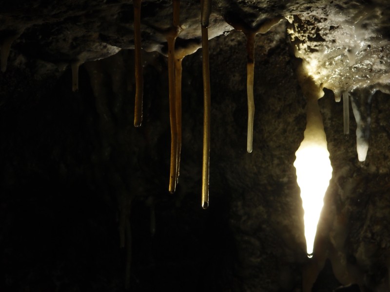 P8311053.JPG - Straw stalactites.