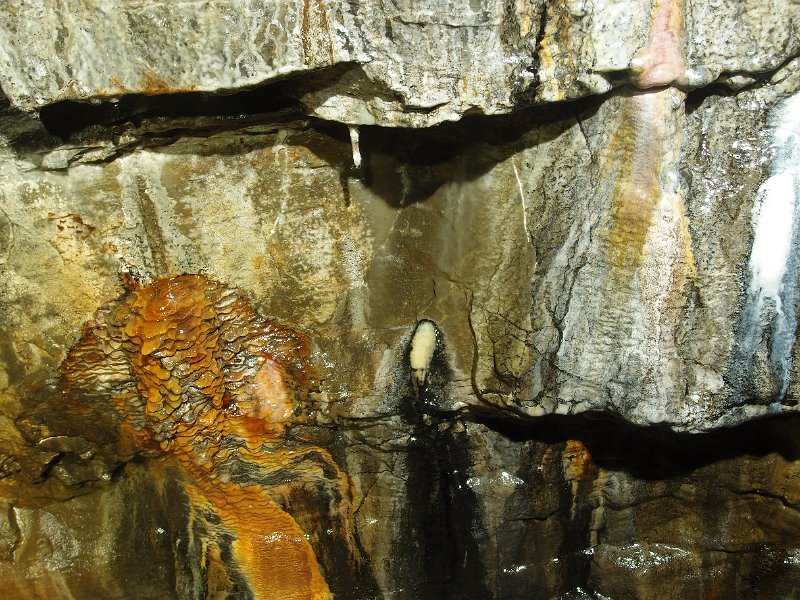 PA235405.JPG - Hannah thought the white and black blob in the middle looked like Kaonashi out of 'Spirited Away'.