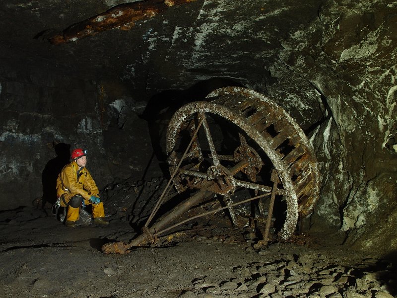 PB124658.JPG - Horse Gin chamber, LED light.
