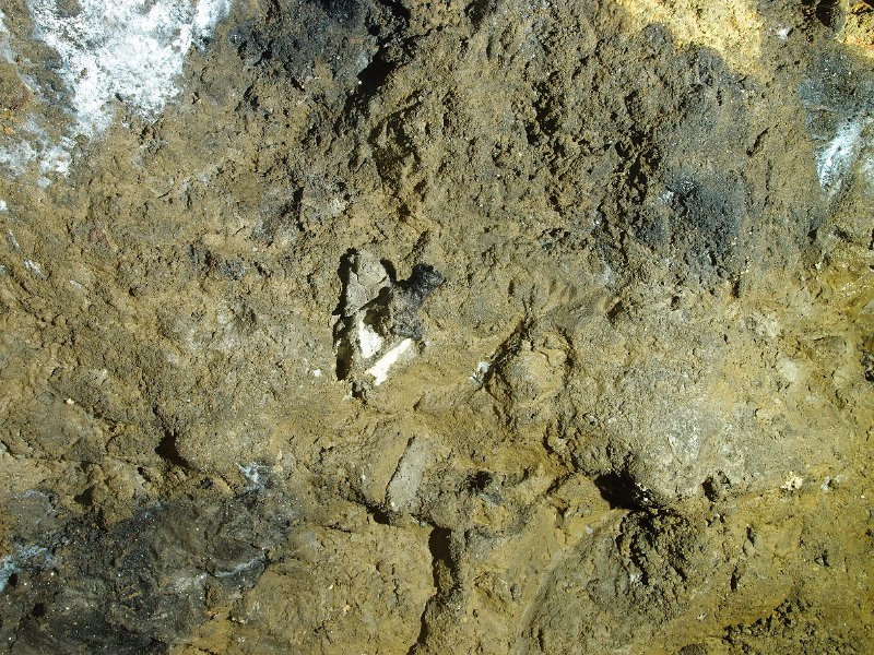 PB124659.JPG - Tallow candle stub on wall in clay.
