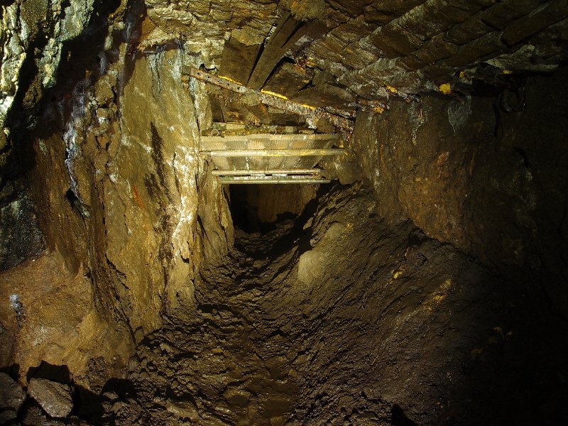 PB124662.JPG - The second dig.