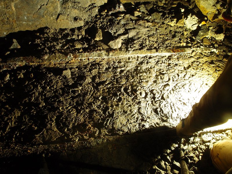 PB124693.JPG - Clog prints.