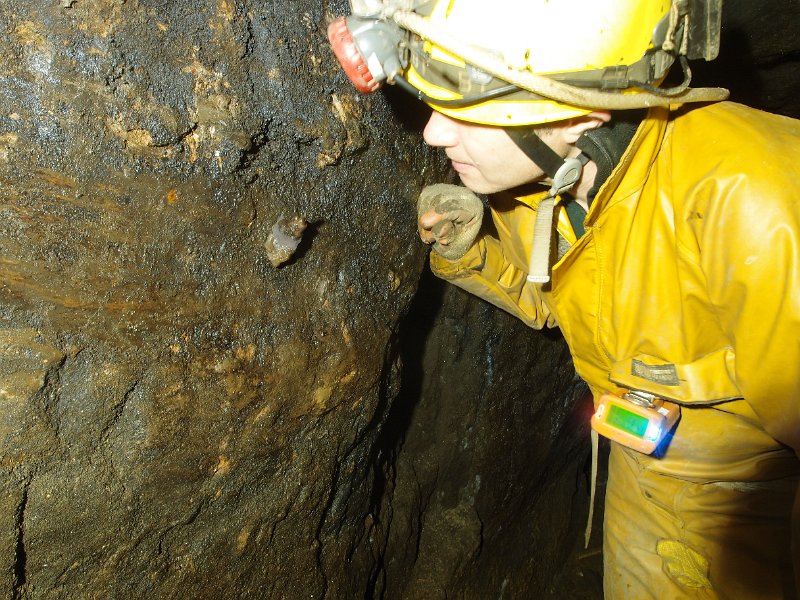 PB124694.JPG - Tallow candle.