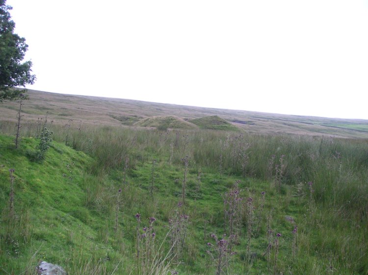 sh_middlelev_dumps.jpg - Looking further up the moor out towards the dumps from the Scraithole Middle Level.