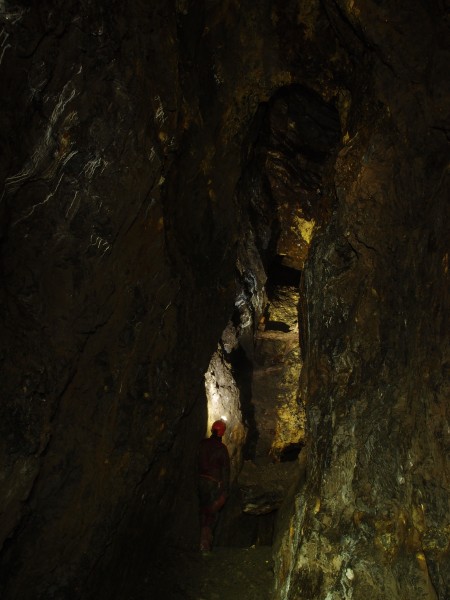 P7242994.JPG - Stopes higher up.