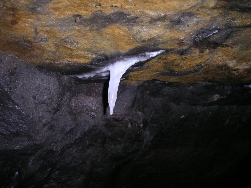 sc_calcite_sump2rg.jpg - A small calcite flow in the shaft siding. There were a few of these and some had flies in then, so there must be an air link here somewhere which is not too far from the surface.
