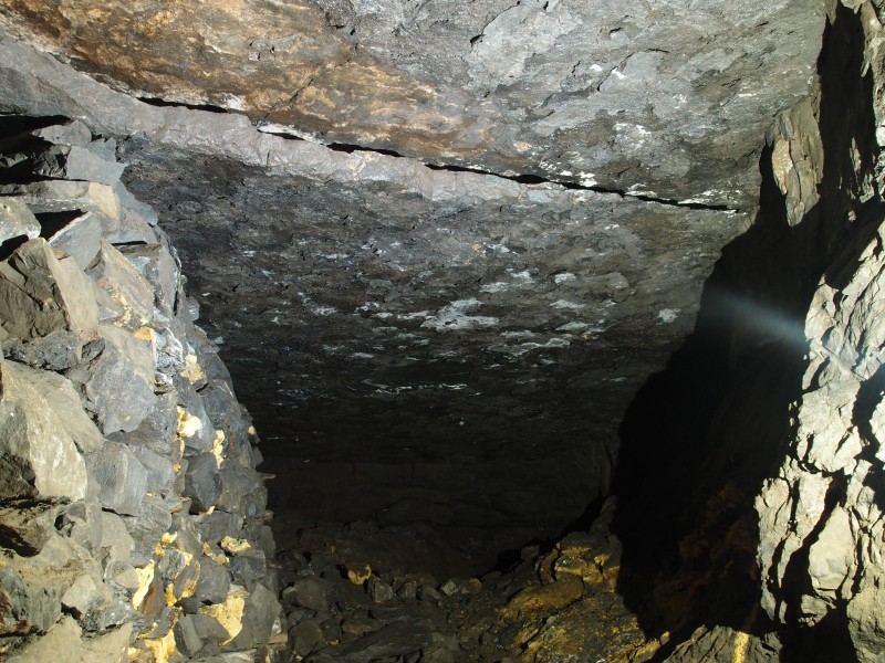 P7246291.JPG - Another section of the roof peel.