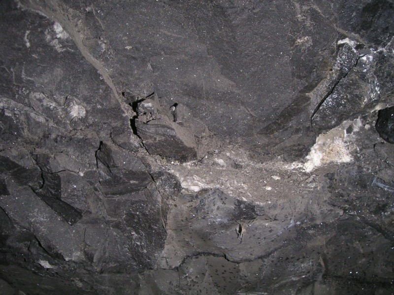 sc_sublevel2_insect.jpg - Above the boxes on the wall, this desiccated insect was on the wall. Towards the bottom middle right.