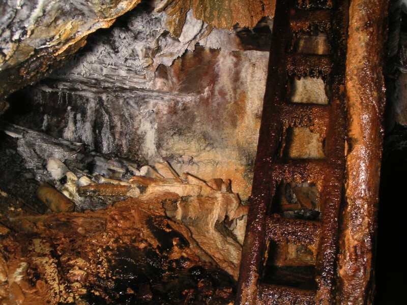 rg_hangingshaw_nw_calciteladder1.jpg - Close up of the ladder and 'side passage'.