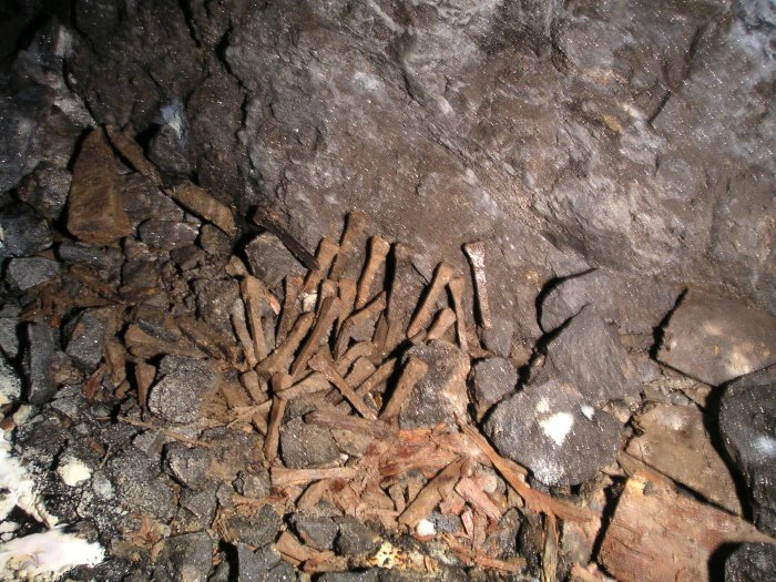 mcssv_stope_wooden_nails.jpg - The pile of wooden nails found in the stope.