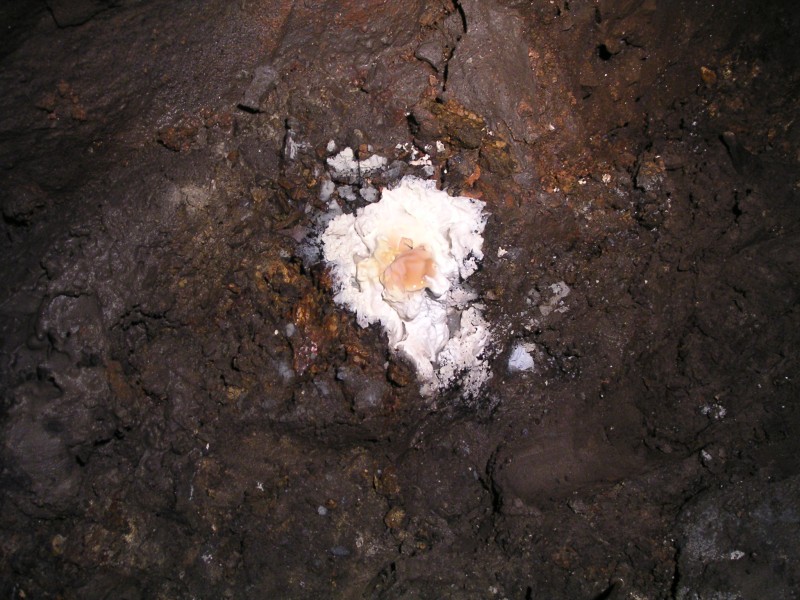 lc_lcsunvstope_egg2.jpg - Further in the stope we came across this fried egg formation. I have heard of them in caves, but never in mines.