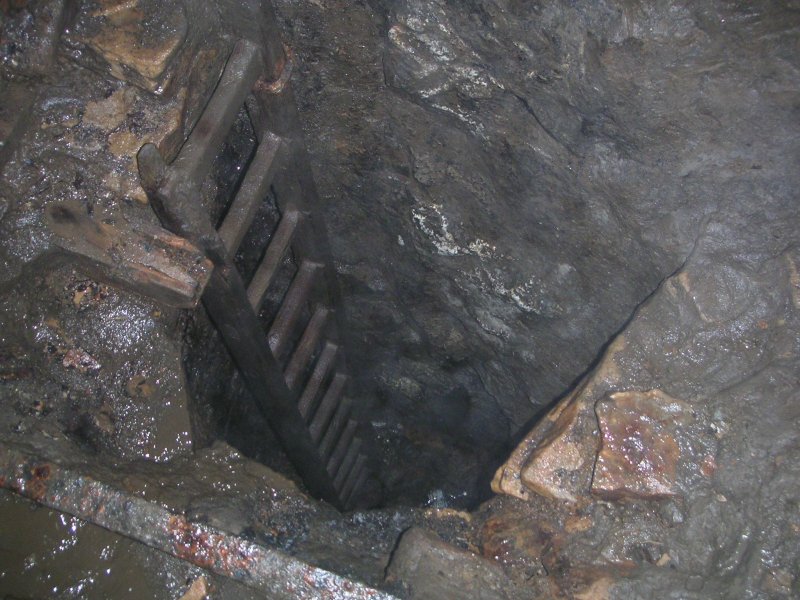 PICT0025.JPG - The ladders along Middlecleugh Second Sun Vein which drop down to the sub level.