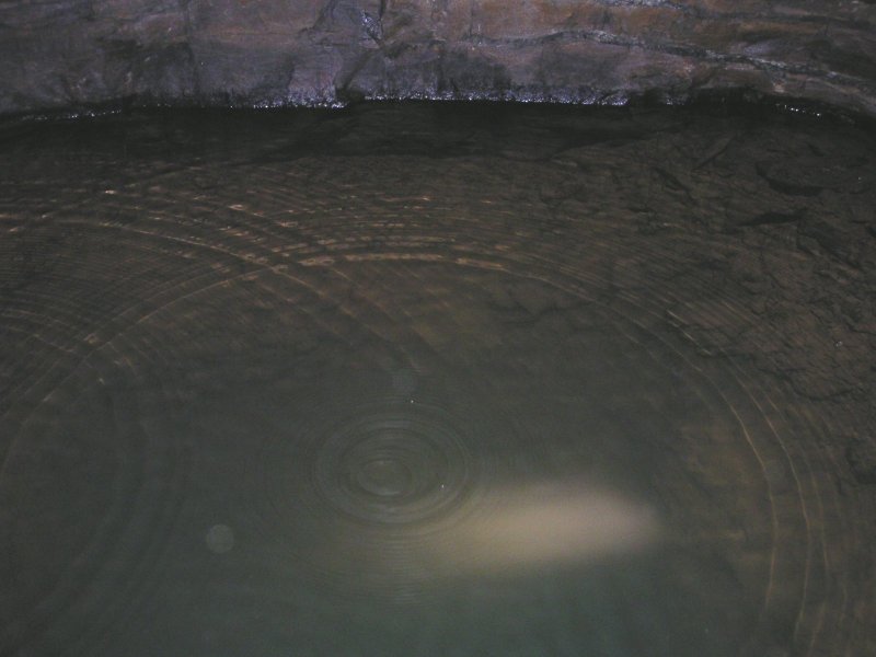 Pict0003.jpg - A flooded green looking sump along the Middlecleugh Second Sun Vein.