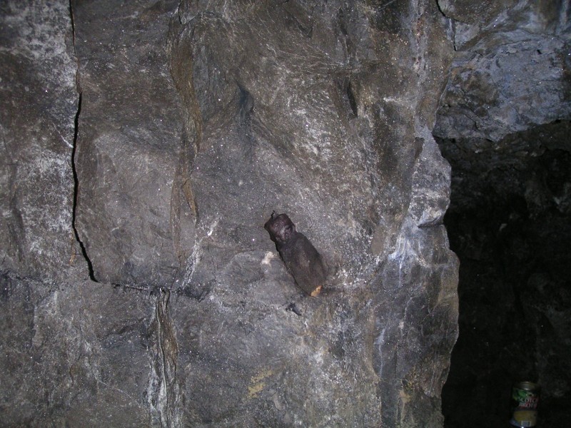sc_middlecleugh_stopes_candle.jpg - In a little shelf cut out of the rock we found this candle stuck onto the wall with clay.