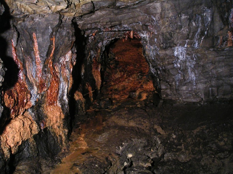 sc_mcssv_drainedsump2.jpg - View past the sump with high water mark.