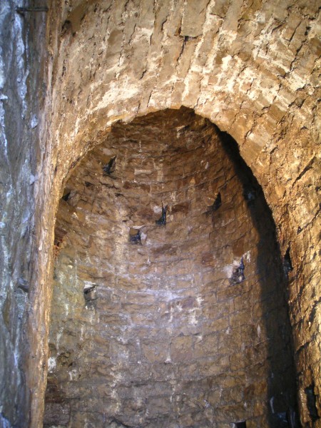 sc_barronsump_22m_down_arching.jpg - Looking up from the main alcove.
