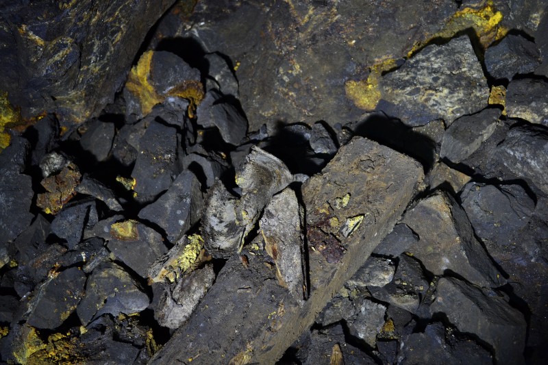 DSC_0832.JPG - Remains of a clogg.