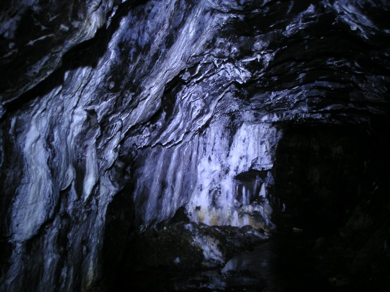 sc07_lcveastflow1.jpg - Heavy calcification on the wall, the LED lighting is giving it a fluorescent quality, due to the blue content.