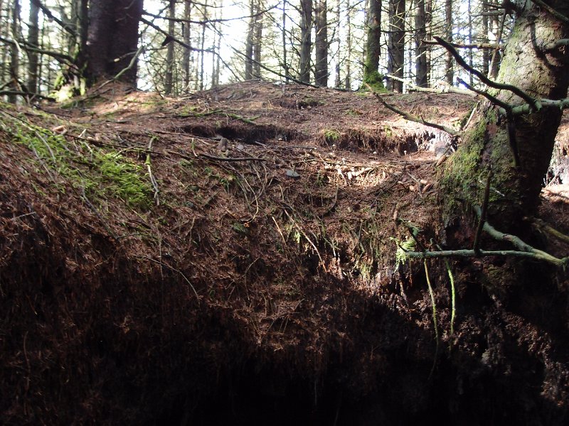 PA164192.JPG - 2nd shaft, mushrooms and more ground slippage.