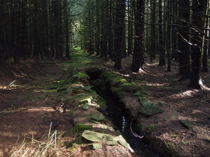 PA164199.JPG - Browngill Top level.