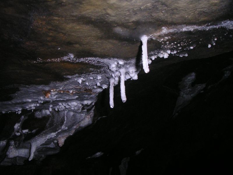 sb_levelbelowtopsills_calcite.jpg - Still below the Top Sill's, straw stalactites in early formation.