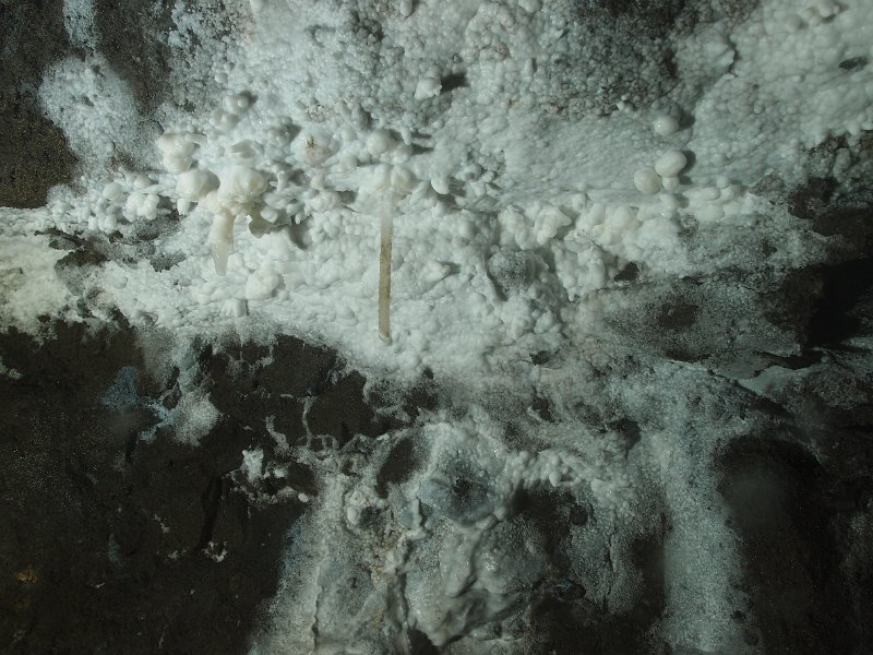P4023387.JPG - White calcite formations in the flat.