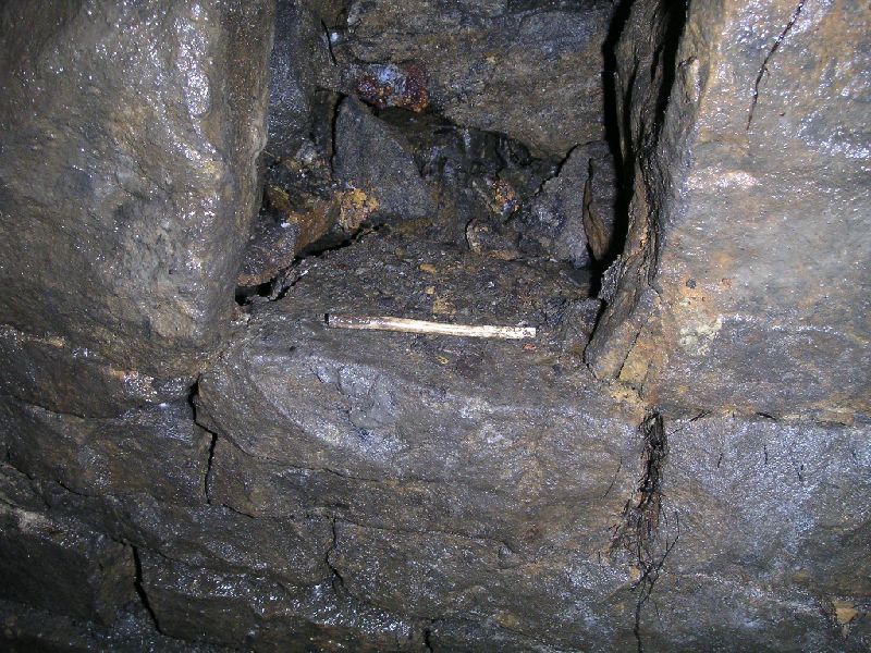 cl_claypipestem.jpg - In the walling Karli spotted this pipe stem.