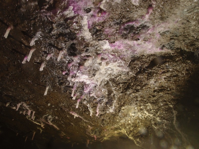 PA296641.JPG - Cobolt stained stalactites. North Vein level.