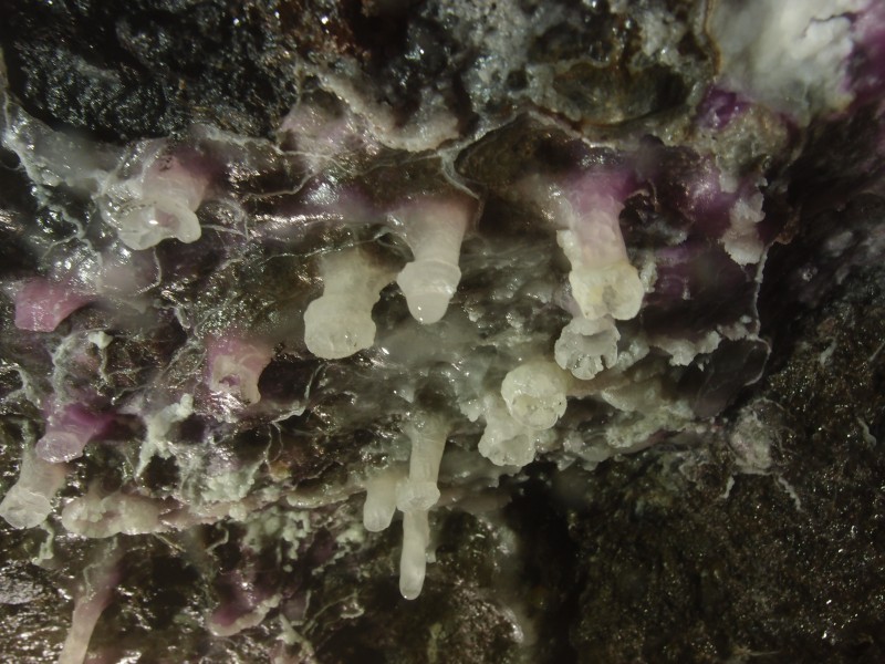 PA296643.JPG - Cobolt stained stalactites. Close up, about 1cm long. North Vein level.
