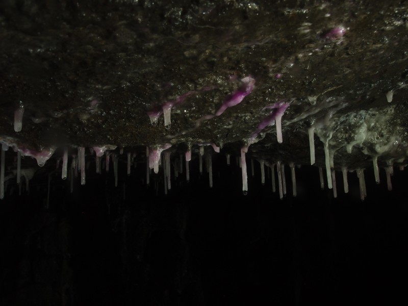 PA296649.JPG - Cobolt stained stalactites. North Vein level.